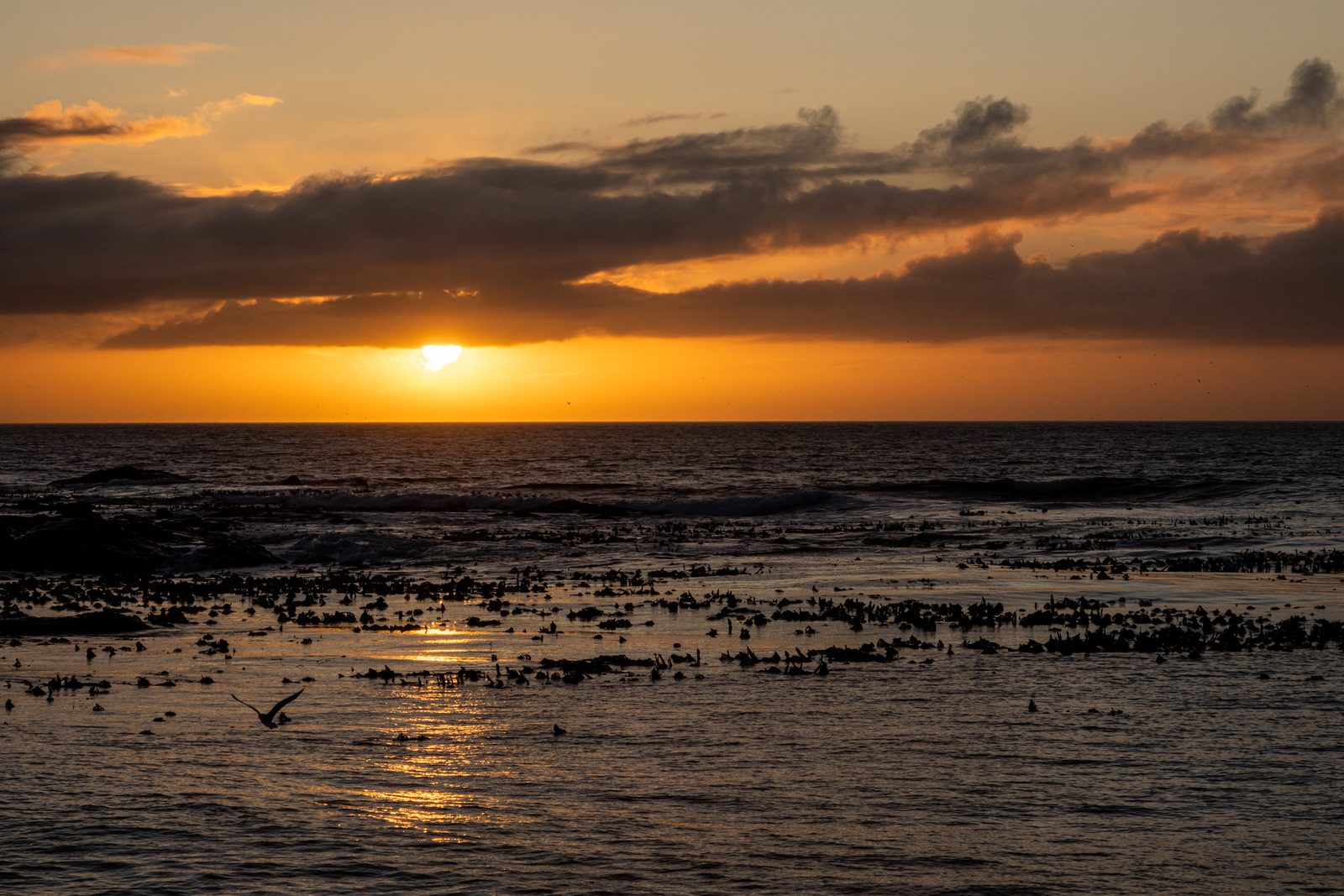 Golden Hour + Blue Hour { The Twenty-Five Minutes Nobody Budgets For }