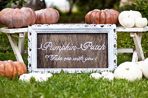 A Pumpkin Theme