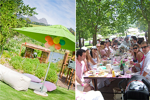 Warwick Wine Estate: At the foot of the Simonsberg Mountain