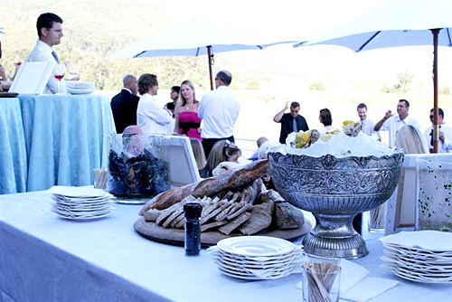 Lisa & Alewyn: A Magical Celebration in Plett