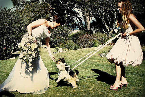 Lisa & Alewyn: A Magical Celebration in Plett