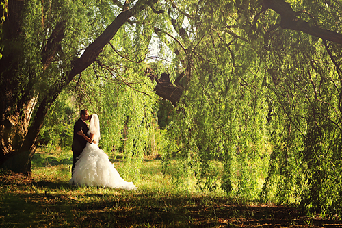 Lelanie and Hardus: Stunning Farm Wedding