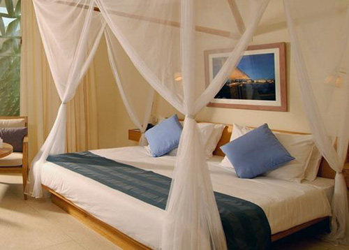 Zanzibar: The Majestic Spice Island