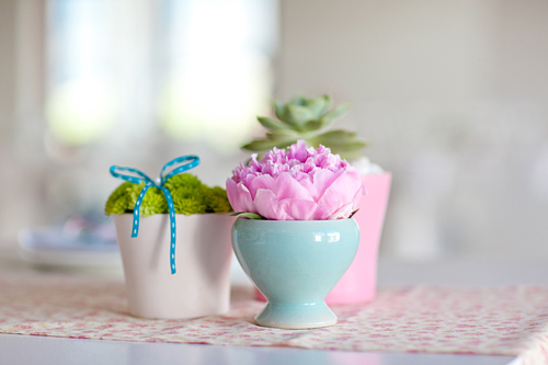 Peonies: Feminine, Romantic and Lovely!