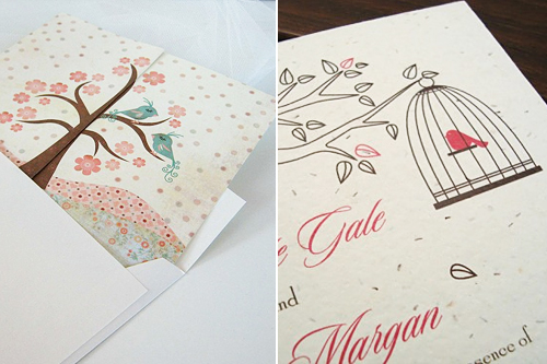 A Feathered Fairytale: Lovebird Theme