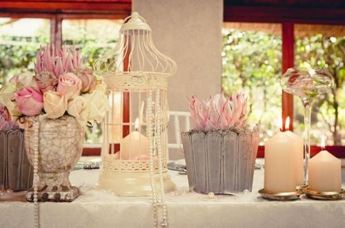The Bird Cage: To Do or Not To Do