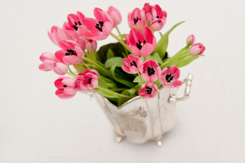 Tulips: from Classy and Modern to Casual and Colourful