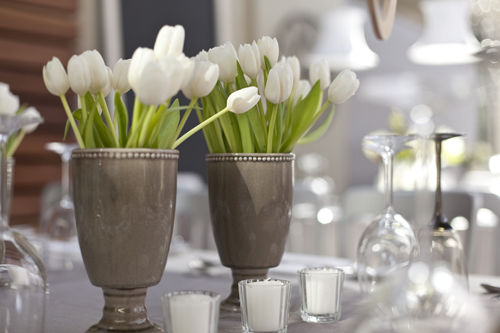 Tulips: from Classy and Modern to Casual and Colourful