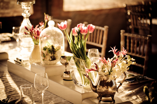Tulips: from Classy and Modern to Casual and Colourful