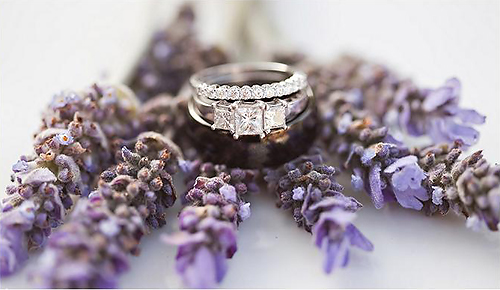 Lilac and Butter