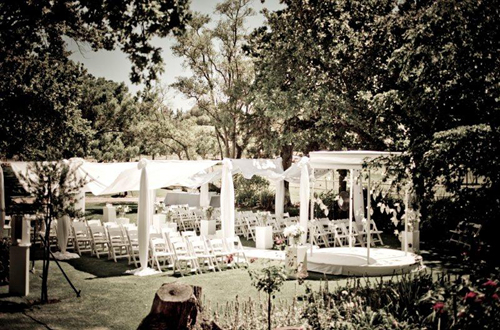 Catherine and Mark: Stylish and Elegant