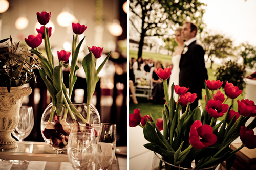 Tulips: from Classy and Modern to Casual and Colourful