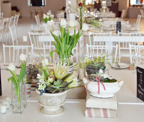 Tulips: from Classy and Modern to Casual and Colourful