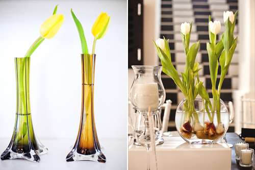Tulips: from Classy and Modern to Casual and Colourful