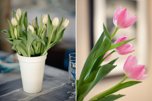 Tulips: from Classy and Modern to Casual and Colourful