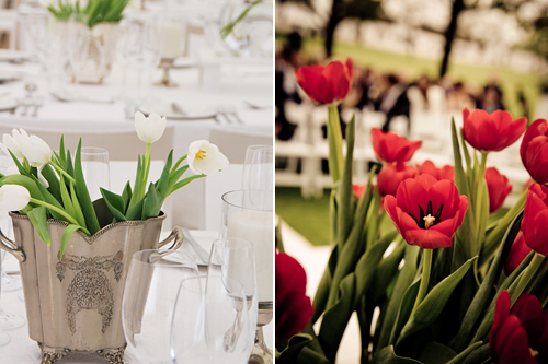 Tulips: from Classy and Modern to Casual and Colourful