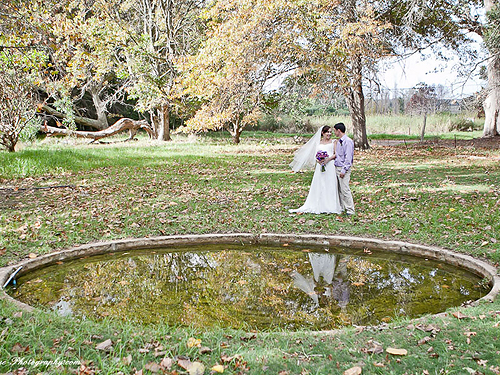 Cindy and Grant {Purple Bliss}