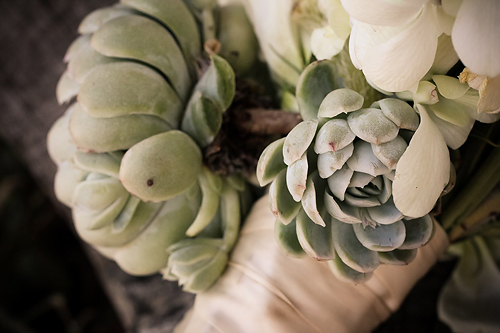 Emily and Stephen { Rustic Charm }