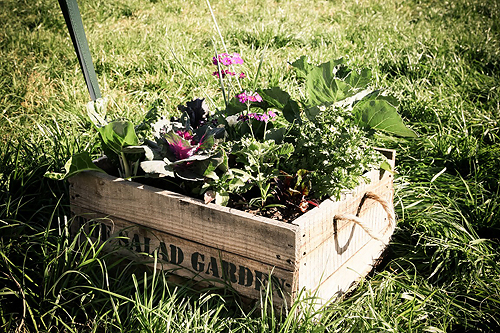 Emily and Stephen { Rustic Charm }