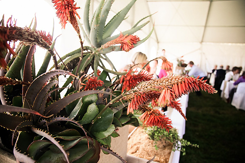 Emily and Stephen { Rustic Charm }