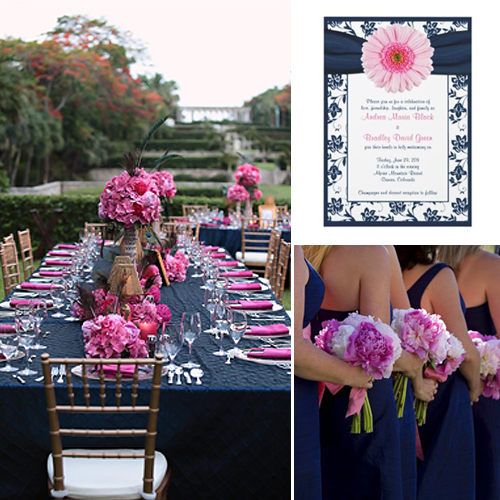 Navy Blue and Pink