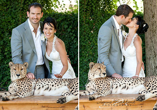 Matt and Beks: An African Experience