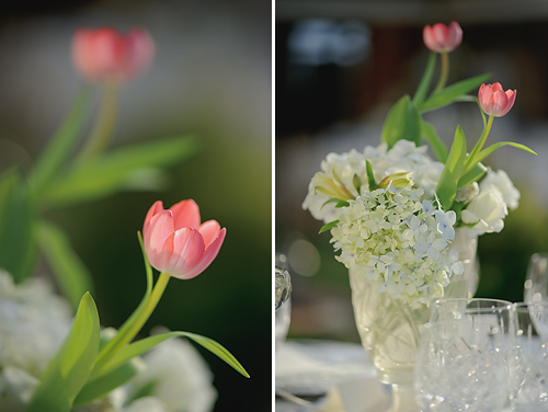Rosie and Matthew: Elegant and Intimate