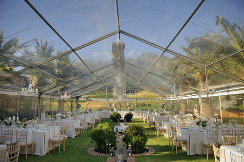 Rosie and Matthew: Elegant and Intimate