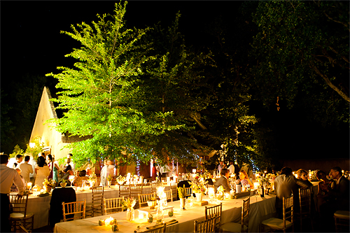 Katherine and Arturo: A Countryside Celebration