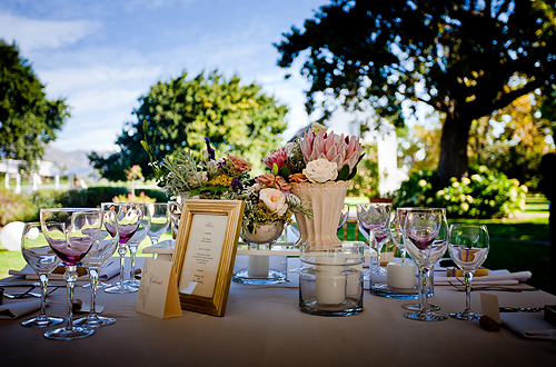 Bettina and Siegie: Paarl, Proteas and Pure Romance