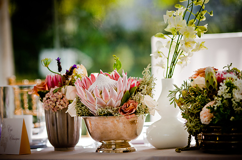 Bettina and Siegie: Paarl, Proteas and Pure Romance