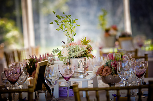 Bettina and Siegie: Paarl, Proteas and Pure Romance