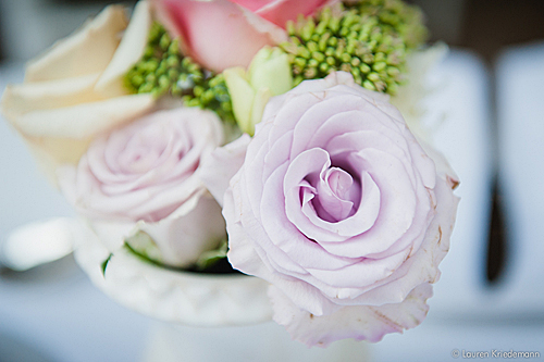 Nicci and Wayne - The Perfect Wedding
