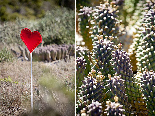 Joy and Stuart: West Coast Wedding