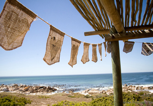 Joy and Stuart: West Coast Wedding