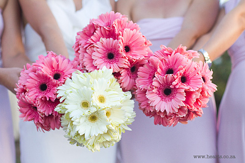 Joy and Stuart: West Coast Wedding