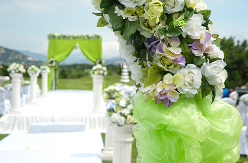 Wild Weddings in South Africa