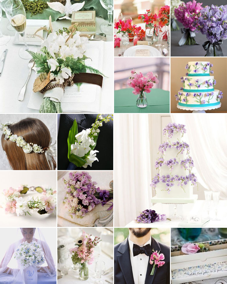 Sweet Peas { Scent of Spring }