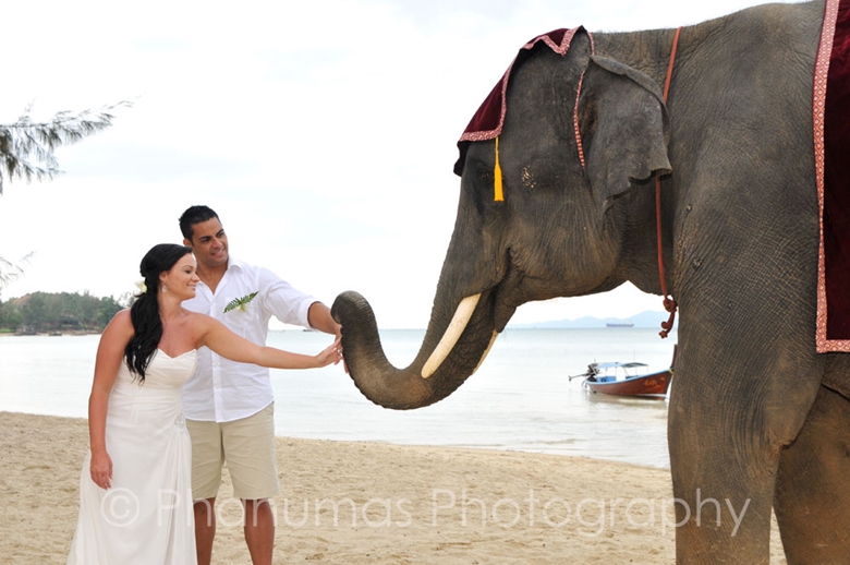 Alternative Entertainment for a Different Spin On Your Wedding
