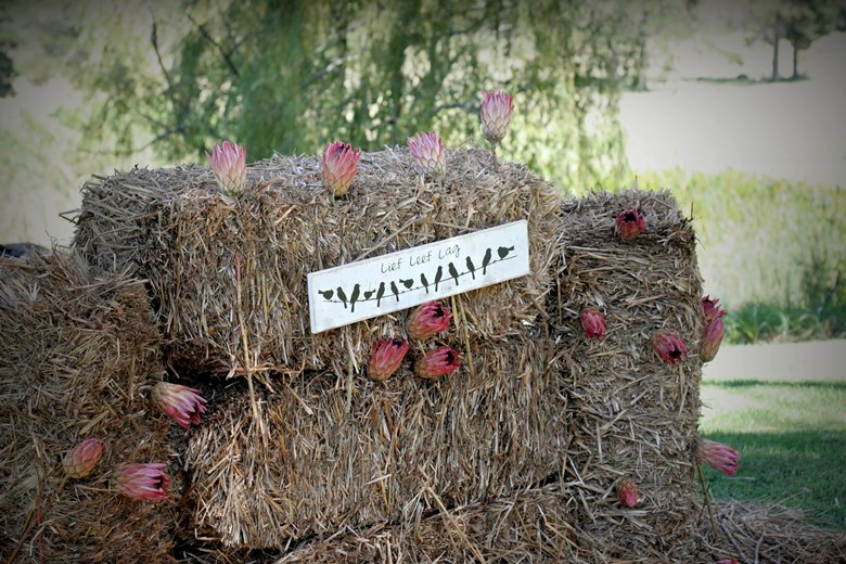 Estelle and Juan { Vintage Farm-style Wedding }