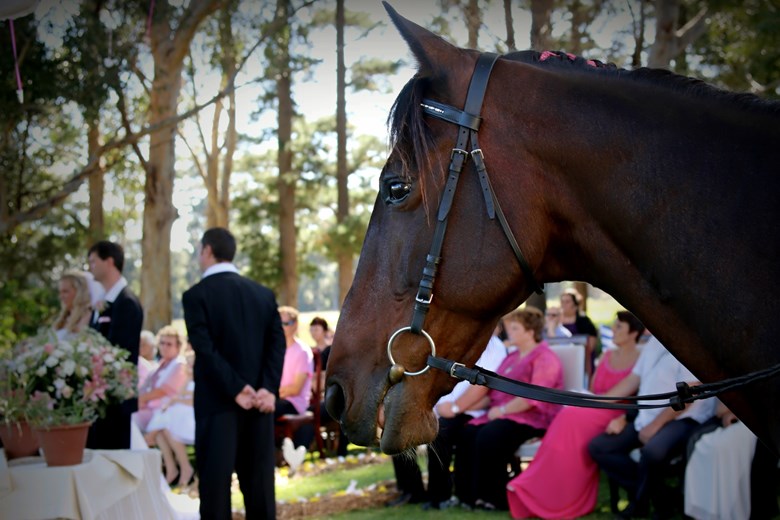 Estelle and Juan { Vintage Farm-style Wedding }