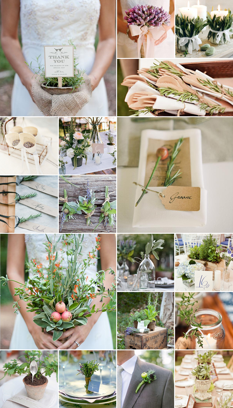 A Dash of Flavour { Aromatic Herbs }